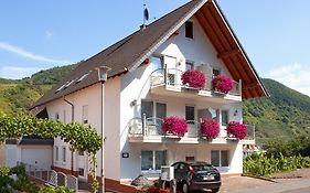 Ferienweingut Klaus Thiesen Gästezimmer Und Apartments  4*