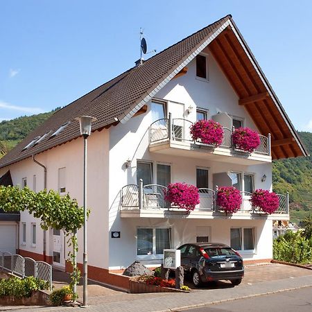 Ferienweingut Klaus Thiesen Gästezimmer und Apartments Ellenz-Poltersdorf Exterior foto