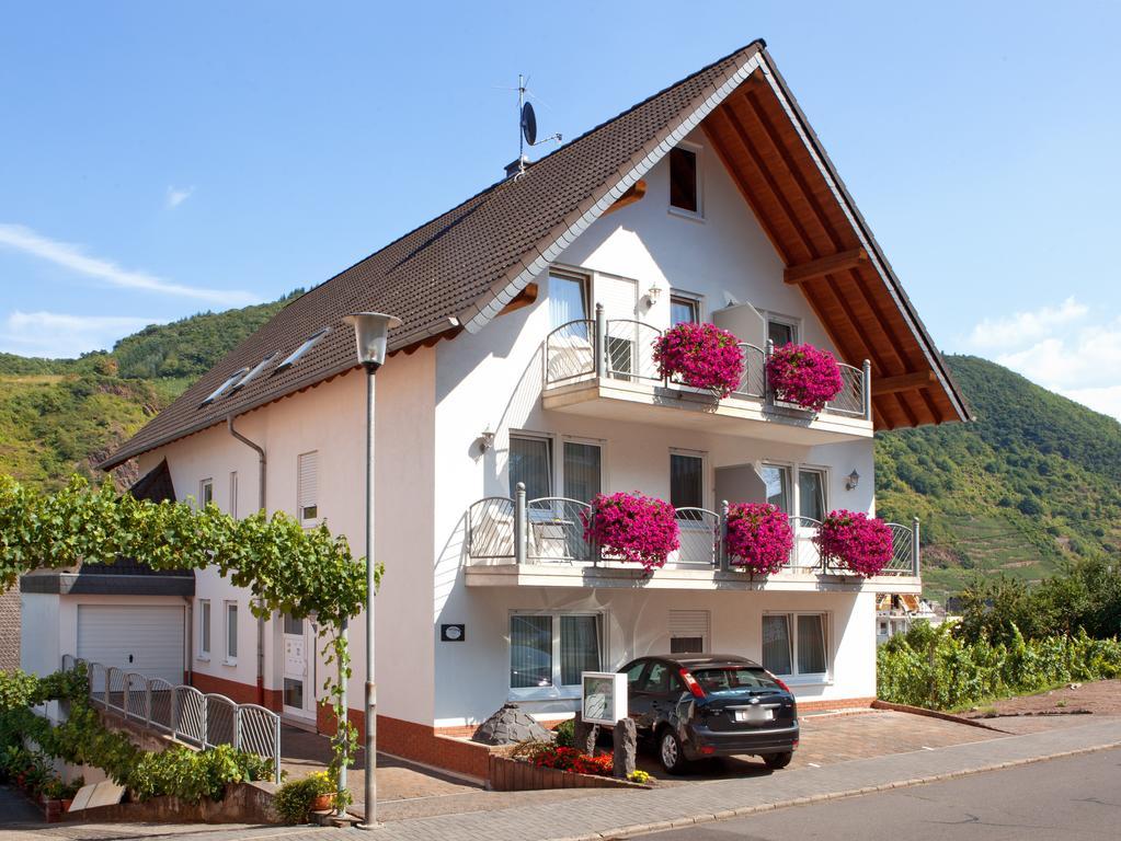 Ferienweingut Klaus Thiesen Gästezimmer und Apartments Ellenz-Poltersdorf Exterior foto